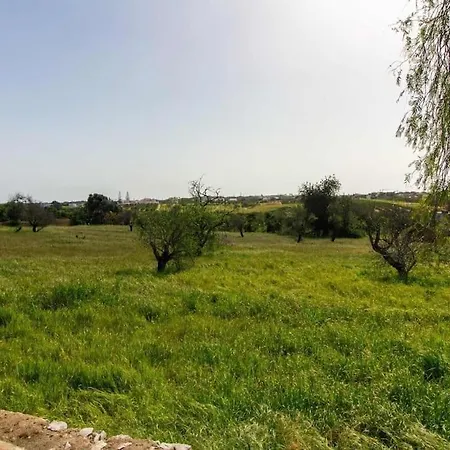 Casa Da Colina - Privat Pool & Bbq & Privacy * アルブフェイラ